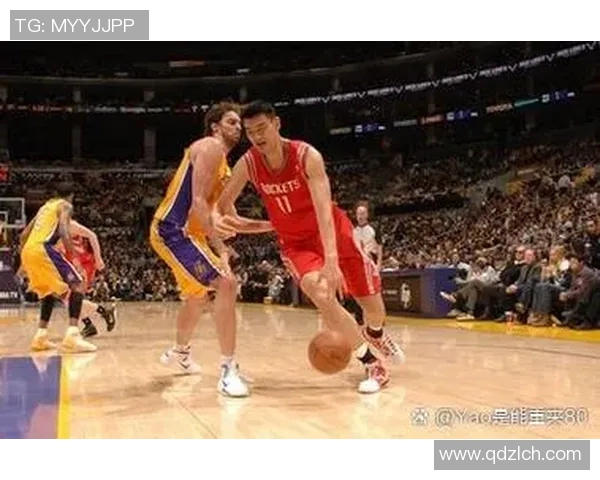 姚明运动标志的背后故事与影响力解析，探索篮球巨星的品牌价值与文化传承