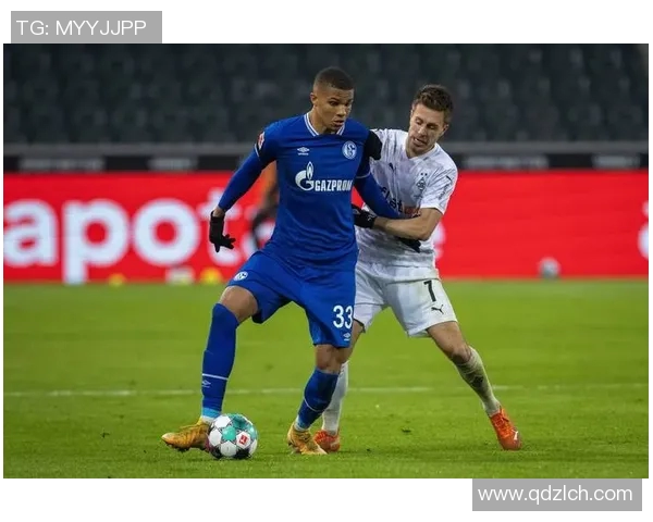 沙尔克04遭遇糟糕连败,主场不敌弗赛堡坐稳德甲垫底位置 沙尔克04遭遇糟糕连败,主场不敌弗赛堡坐稳德甲垫底位置